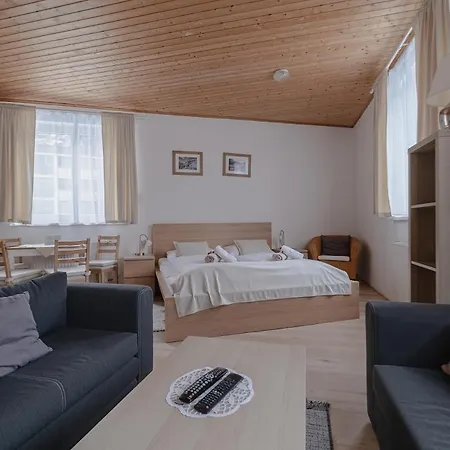 Alpenpension Haslinger Bad Gastein