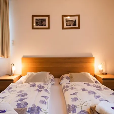 Guest house Alpenpension Haslinger Bad Gastein