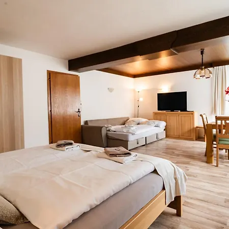 Casa de hóspedes Alpenpension Haslinger 3*