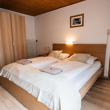 Alpenpension Haslinger Casa de hóspedes Bad Gastein